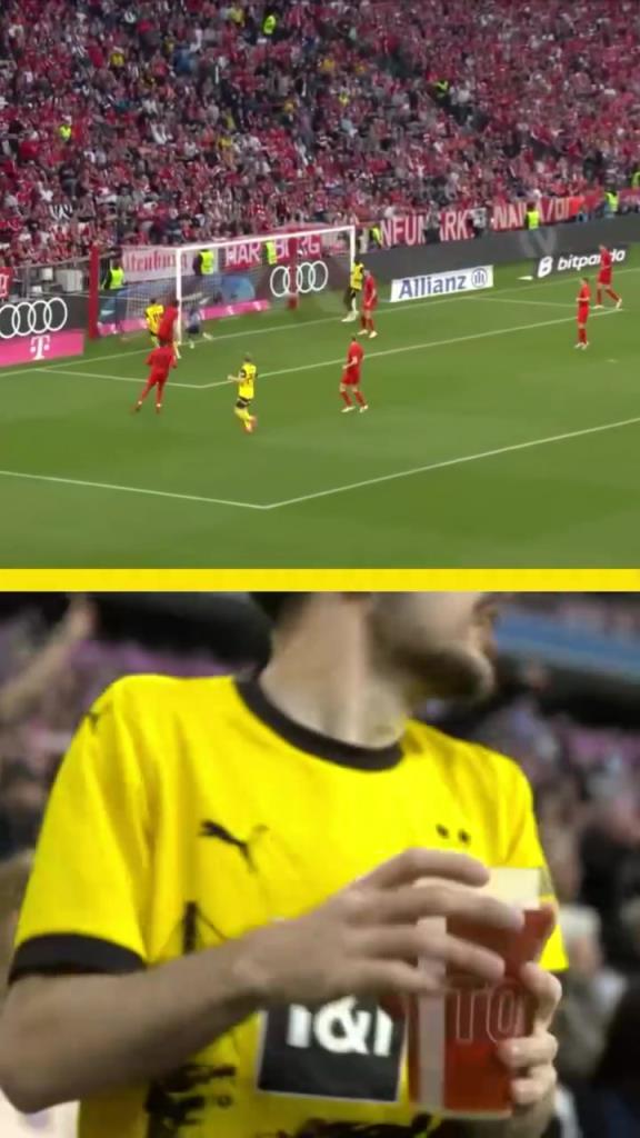 勇者無(wú)懼！這是真多特球迷！在拜仁球迷區(qū)一個(gè)人肆意慶祝！